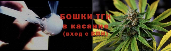 дурь Арсеньев