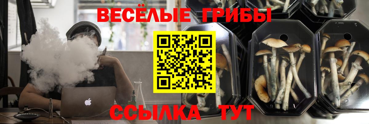 Псилоцибиновые грибы мухоморы  Вход с VPN  где купить наркотик  Кунгур  Псилоцибиновые грибы мухоморы 